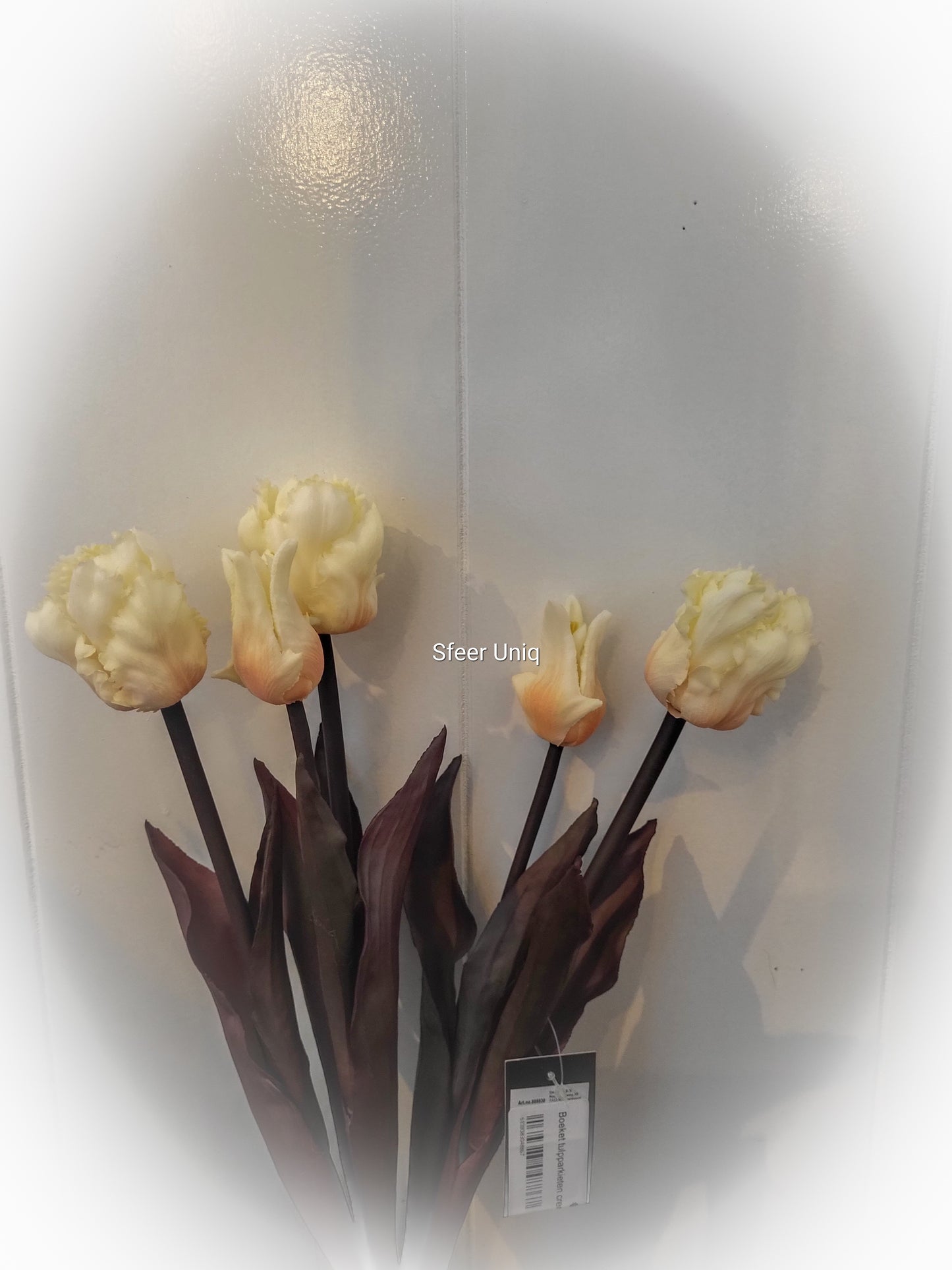 Boeket tulpparkieten creme