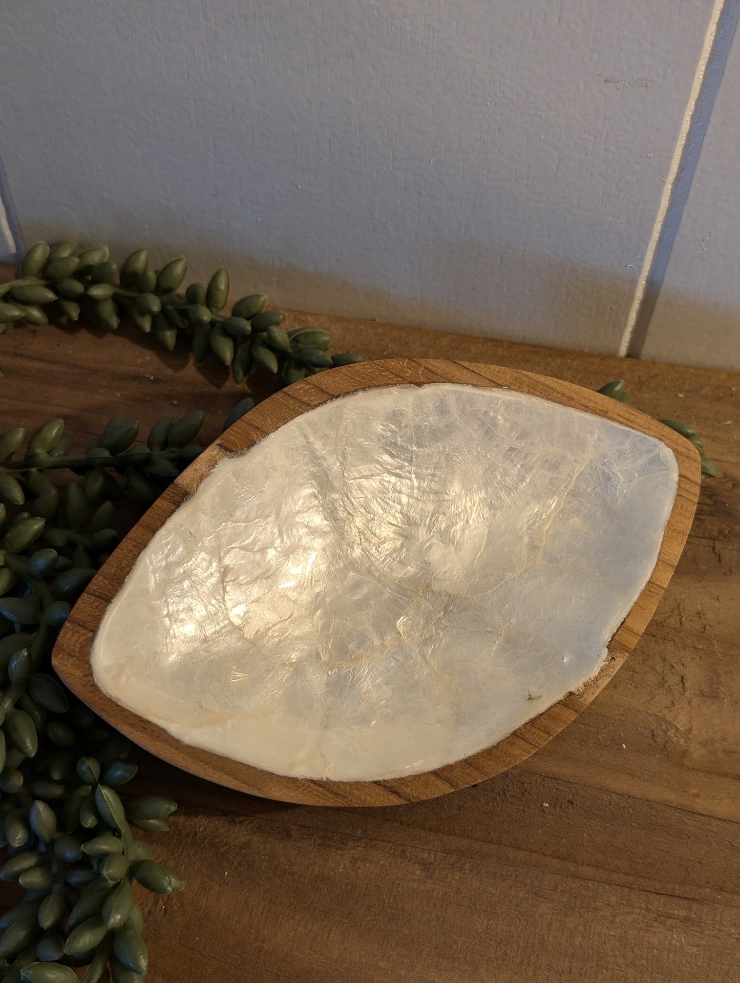 Schaaltje capiz