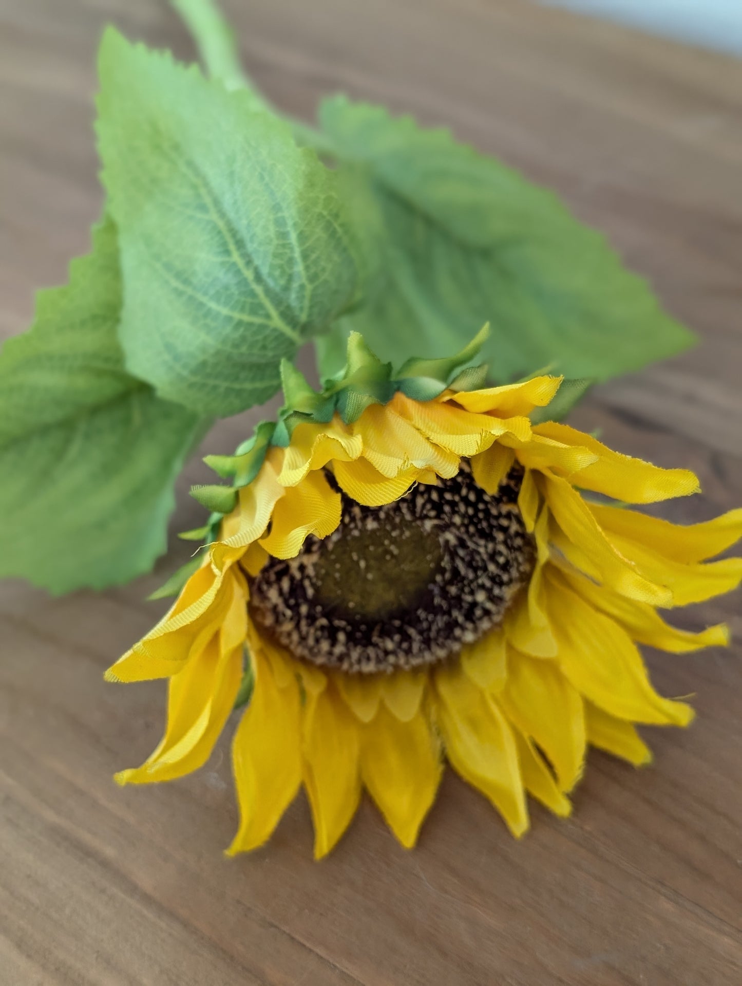 Zonnebloem