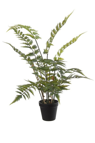 Kunstplant bosvaren