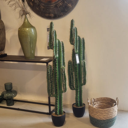Kunstplant Cactus
