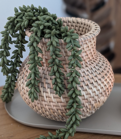 Rotan vaasje
