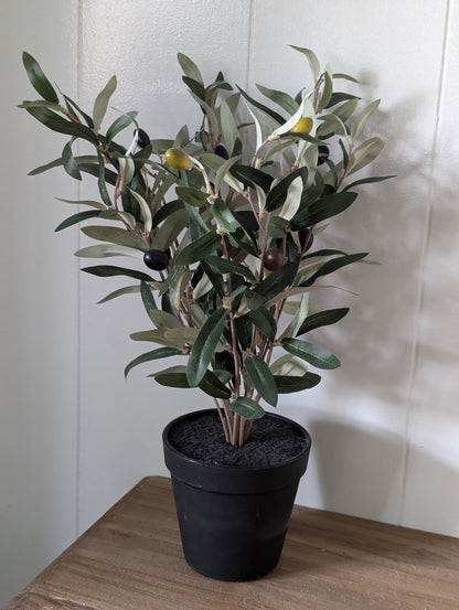 Kunst olijfboompje in pot