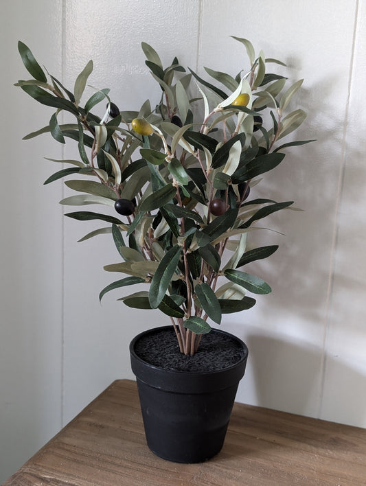 Kunst olijfboompje in pot