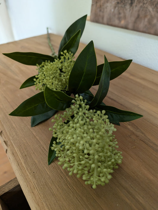 Mooie groene bloem-tak