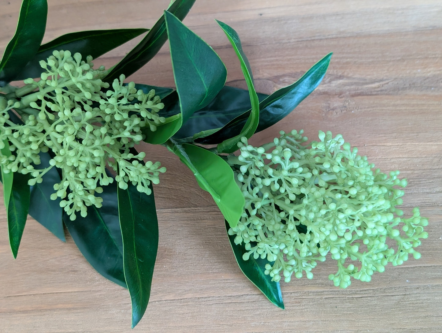 Mooie groene bloem-tak
