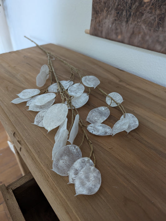 Mooie deco tak met witte blaadjes