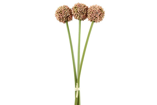 Bosje Kunst Allium roze